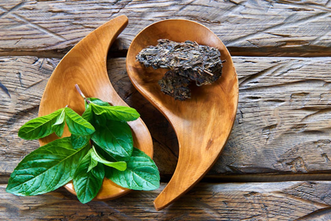 Herbal Medicine gallery 2